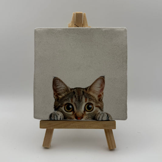 Tegeltje - Kitten