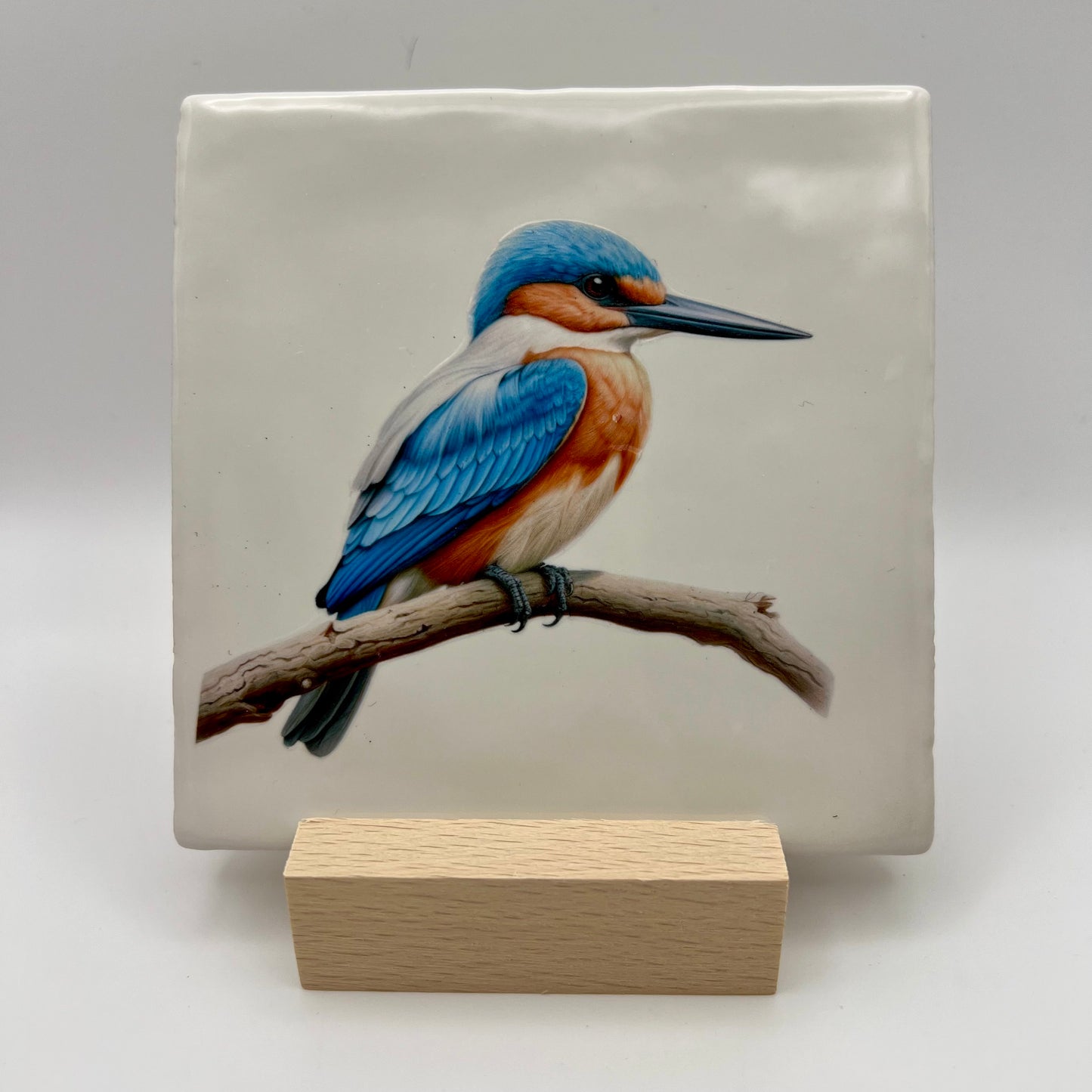 Tegeltje - Ijsvogel